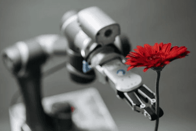 AI and Climate Action: How Artificial Intelligence Is Powering the Fight Against Environmental Crisis