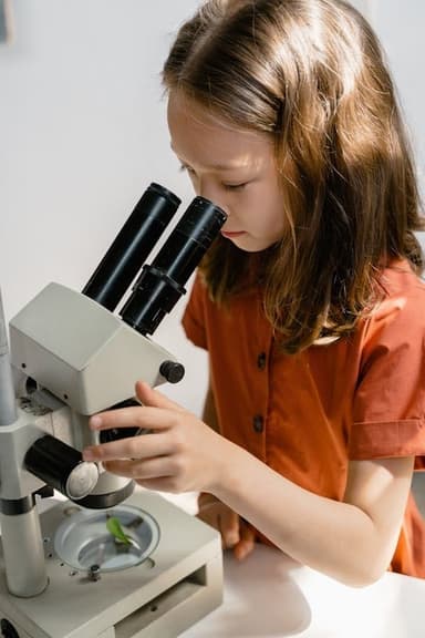 AI in Education: Empowering Educators and Learners Through Intelligent Systems